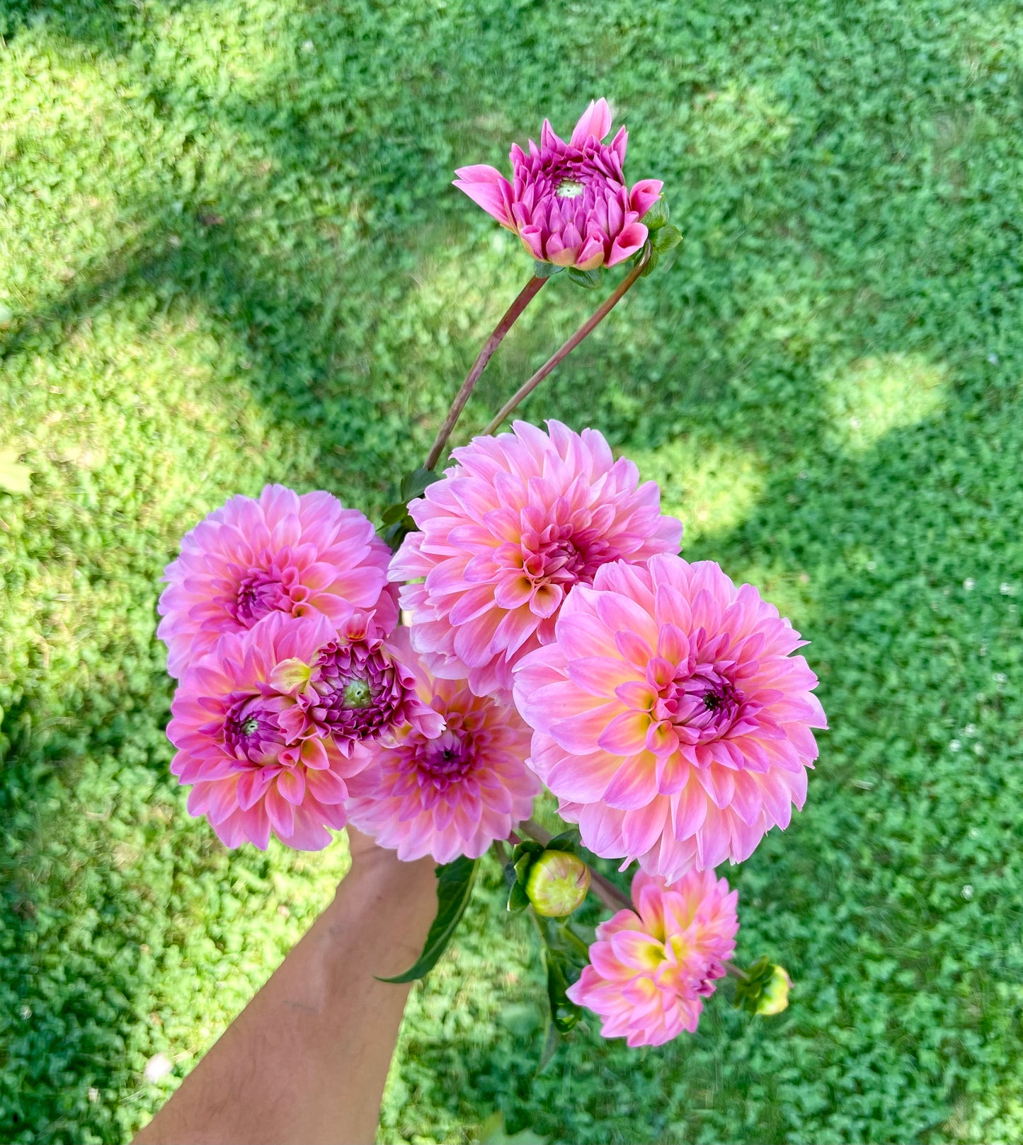 Fresh flower - Glorious summer arrangement