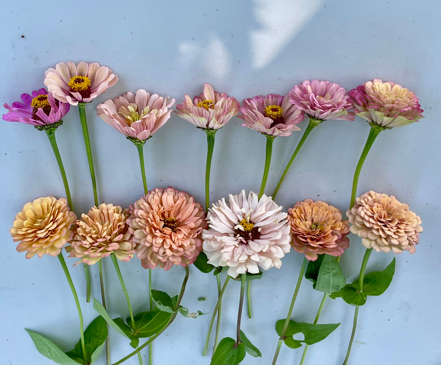 Fresh flower - Glorious summer arrangement